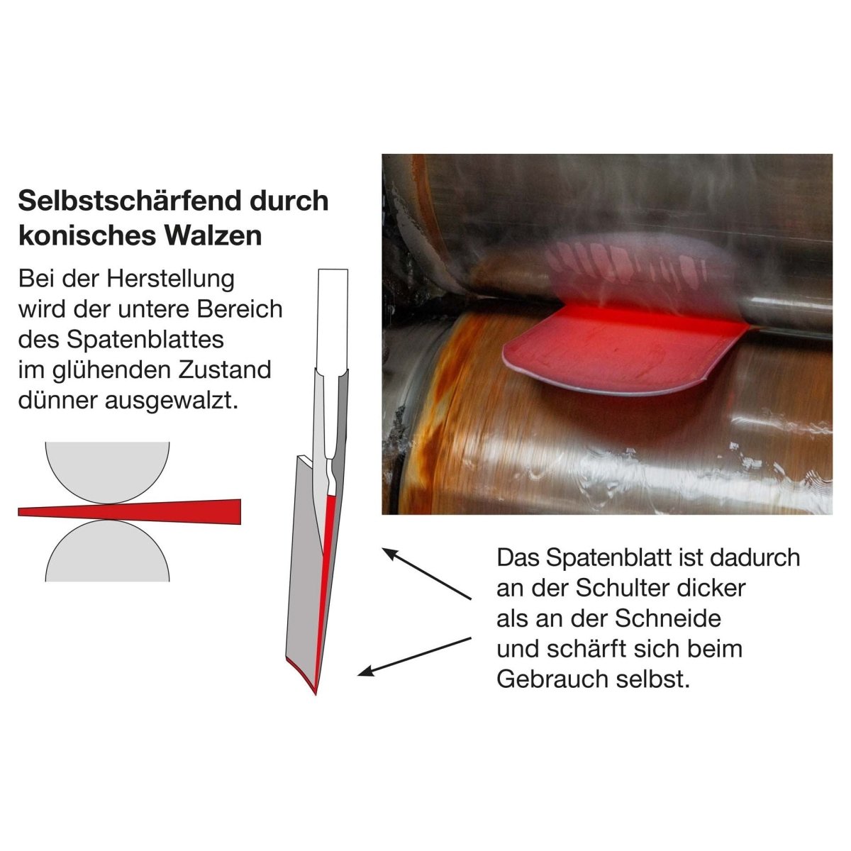 IDEAL - Spaten "Gärtner Form" poliert mit Eschen - T - Stiel - SHW - FIRE