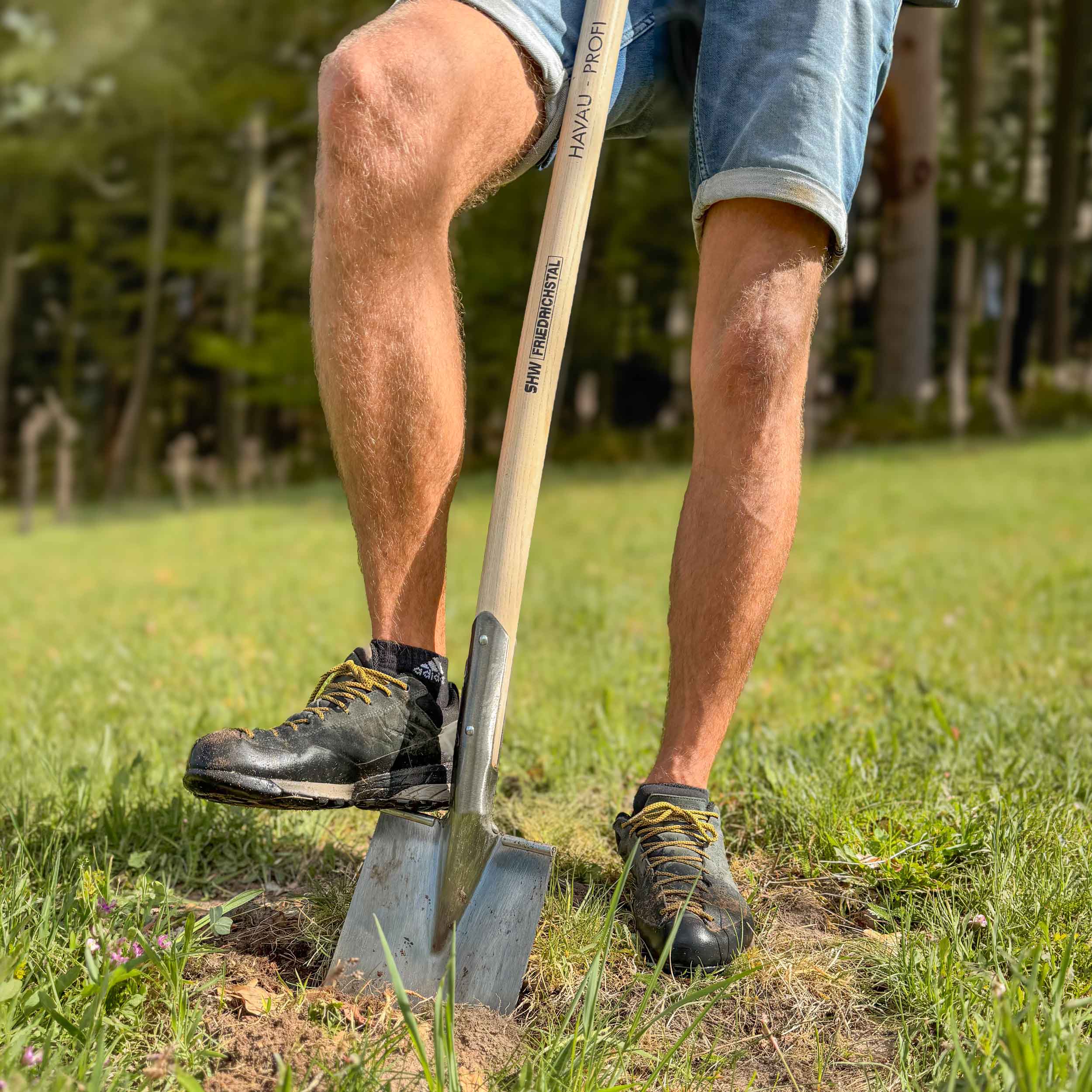 Person nutzt robusten Edelstahl-Gärtnerspaten mit Holzstiel beim Umgraben von Rasenfläche im Garten – stabiler Stechspaten für Hobbygärtner und Profigärtner
