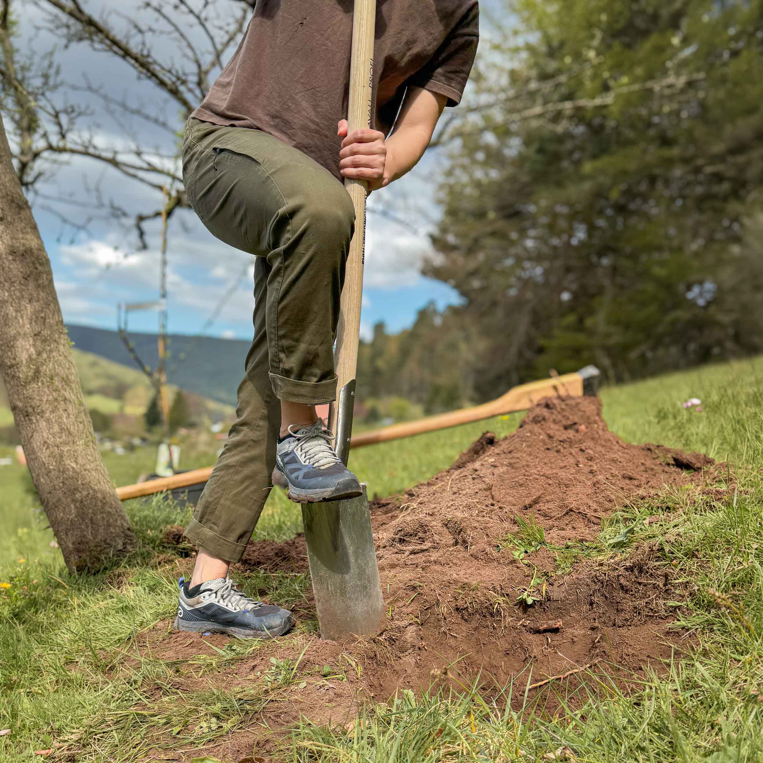 Person nutzt Pflanzspaten mit rundem Edelstahlblatt und Holzstiel beim Ausheben eines Pflanzlochs im Garten – stabiler Baumpflanzspaten für Gartenarbeit