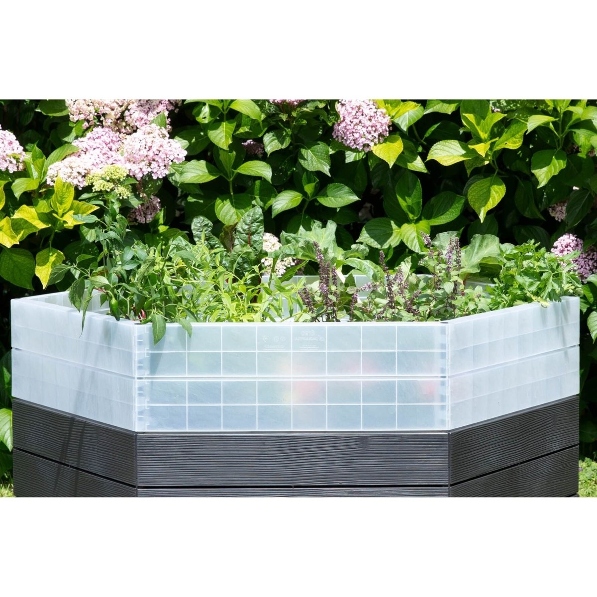 GARANTIA Hochbeet XL 75 mit Wachstumsmodul & Wassersparsystem - SHW - FIRE