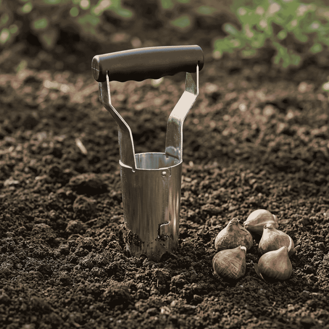 Blumenzwiebelpflanzer BASIC